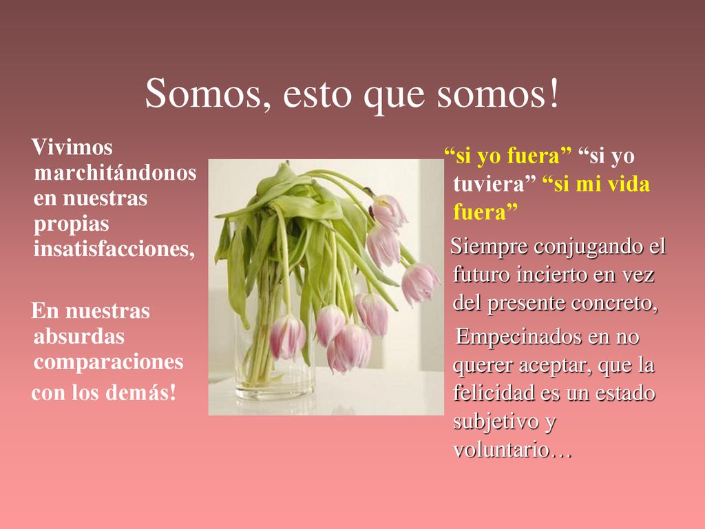 Somos, esto que somos! Vivimos marchitándonos en nuestras propias insatisfacciones, En nuestras absurdas comparaciones.