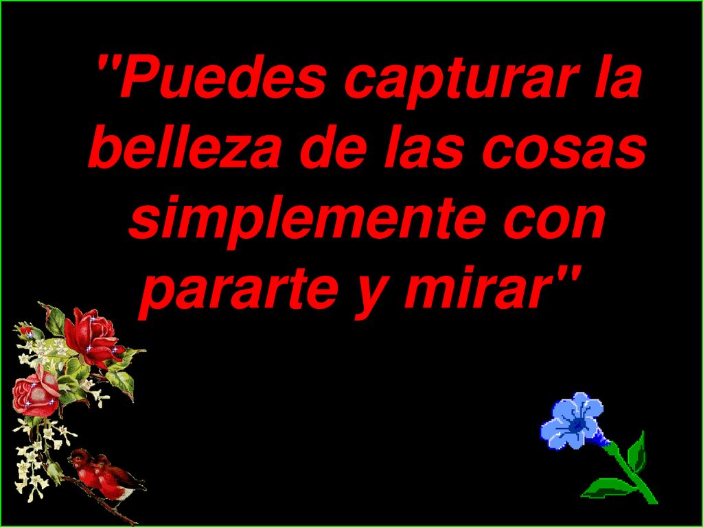 Puedes capturar la belleza de las cosas simplemente con pararte y mirar