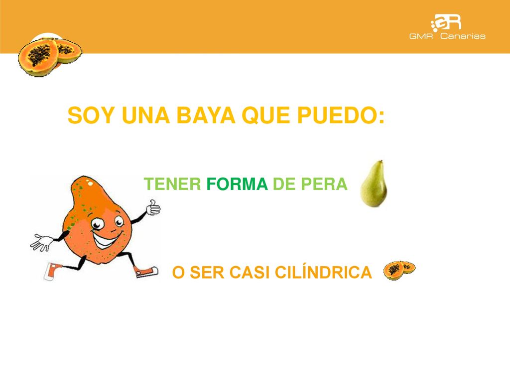 SOY UNA BAYA QUE PUEDO: TENER FORMA DE PERA O SER CASI CILÍNDRICA