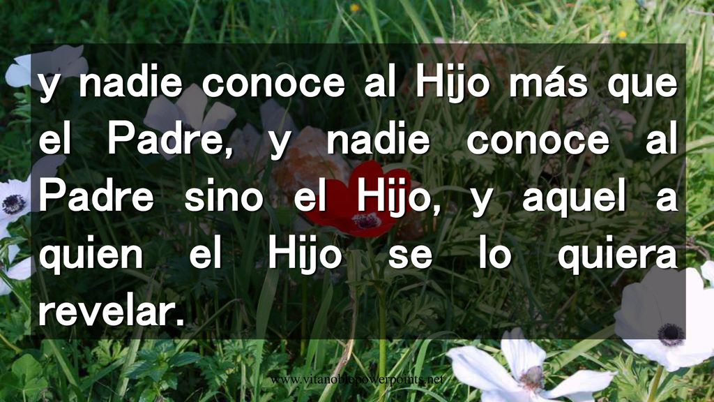 y nadie conoce al Hijo más que el Padre, y nadie conoce al Padre sino el Hijo, y aquel a quien el Hijo se lo quiera revelar.