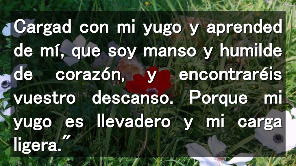Cargad con mi yugo y aprended de mí, que soy manso y humilde de corazón, y encontraréis vuestro descanso. Porque mi yugo es llevadero y mi carga ligera.