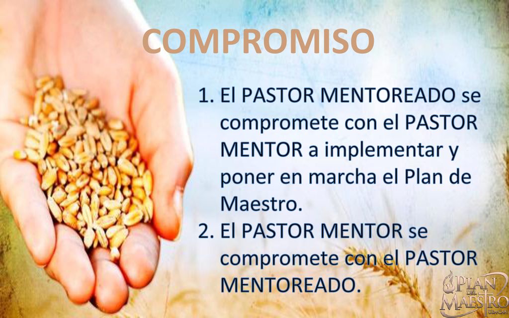 COMPROMISO El PASTOR MENTOREADO se compromete con el PASTOR MENTOR a implementar y poner en marcha el Plan de Maestro.