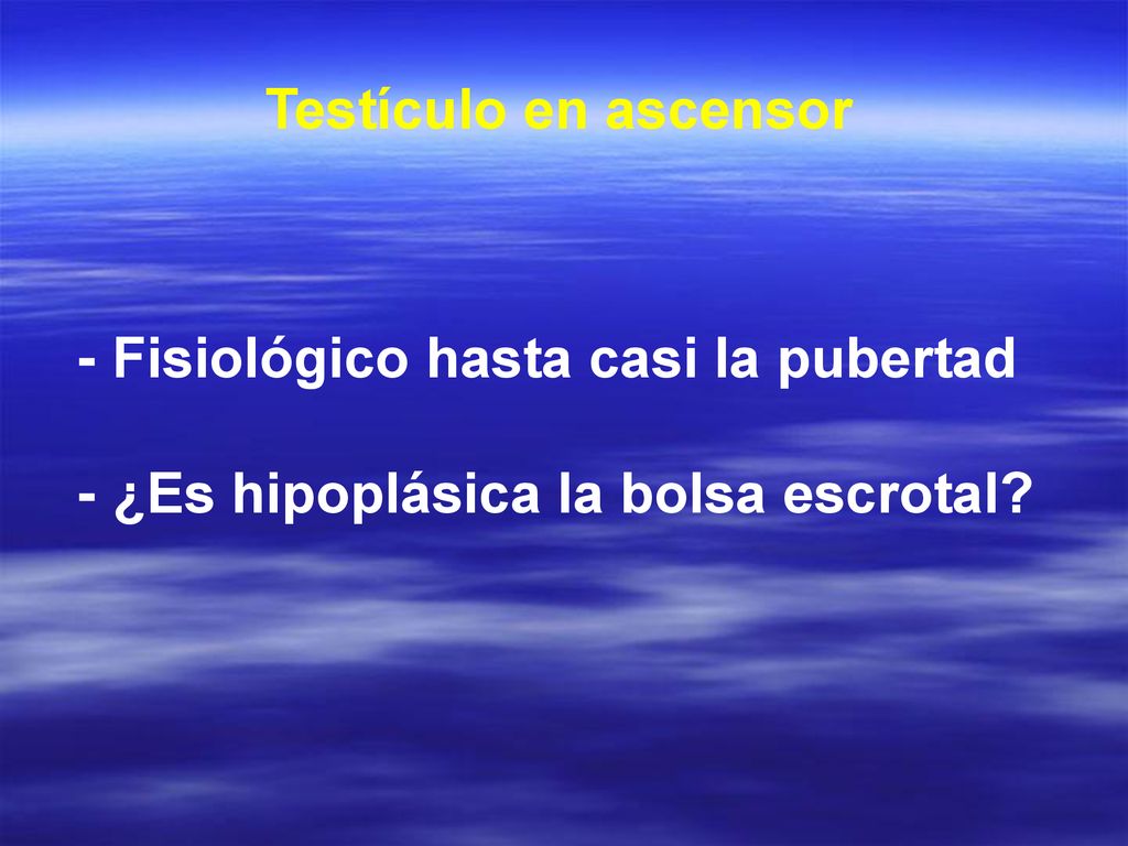 Testículo en ascensor - Fisiológico hasta casi la pubertad - ¿Es hipoplásica la bolsa escrotal