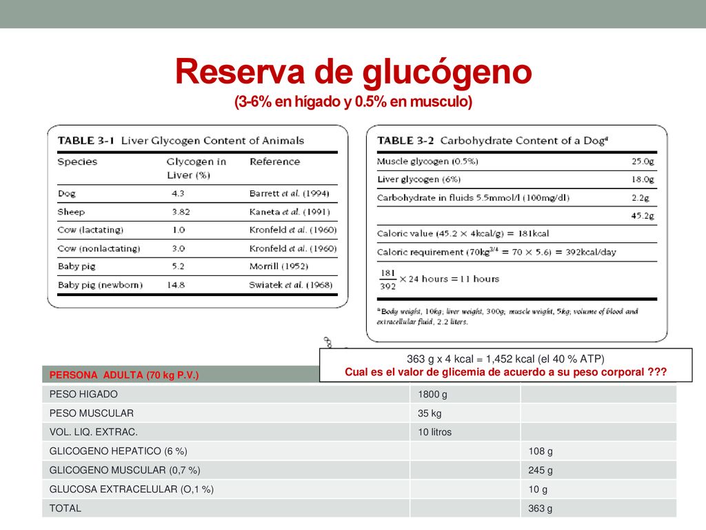 Reserva de glucógeno (3-6% en hígado y 0.5% en musculo)