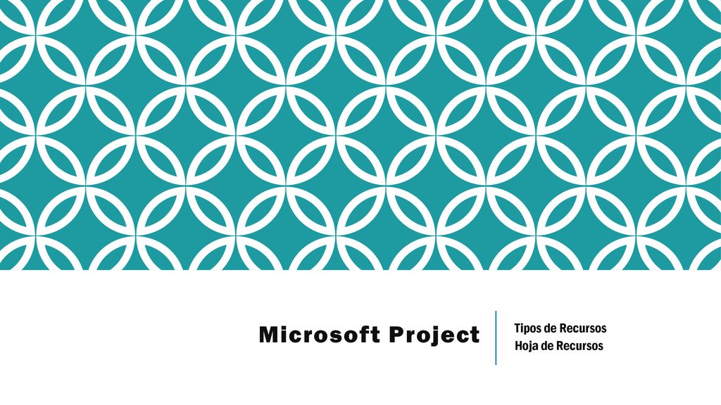 Microsoft Project Tipos de Recursos Hoja de Recursos