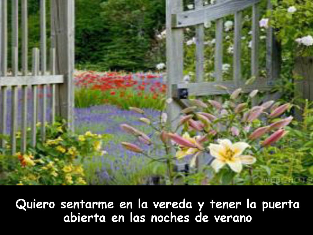 Quiero sentarme en la vereda y tener la puerta abierta en las noches de verano.