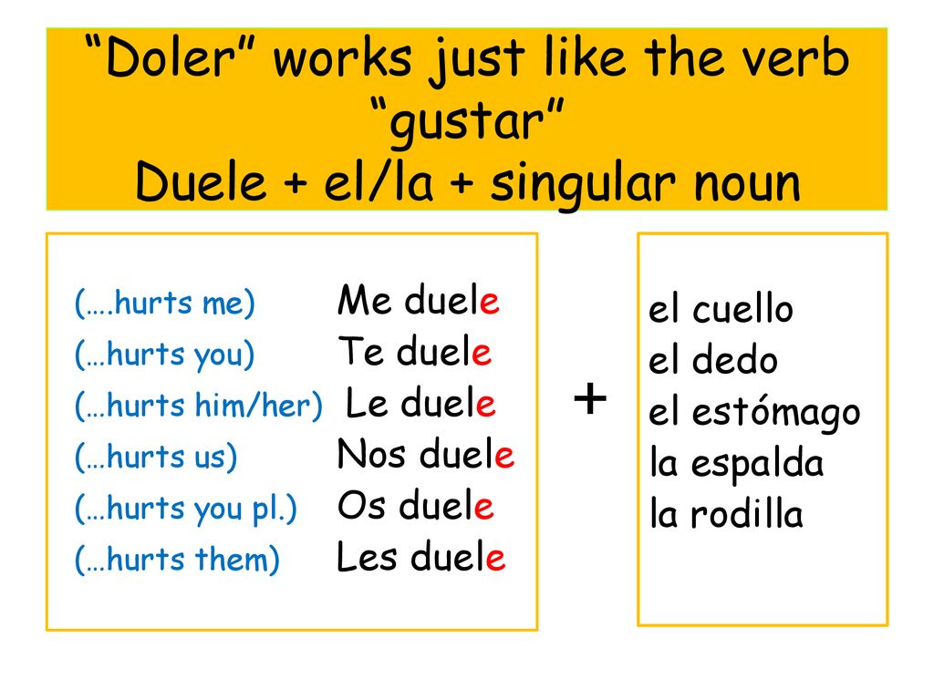 Doler works just like the verb gustar Duele + el/la + singular noun