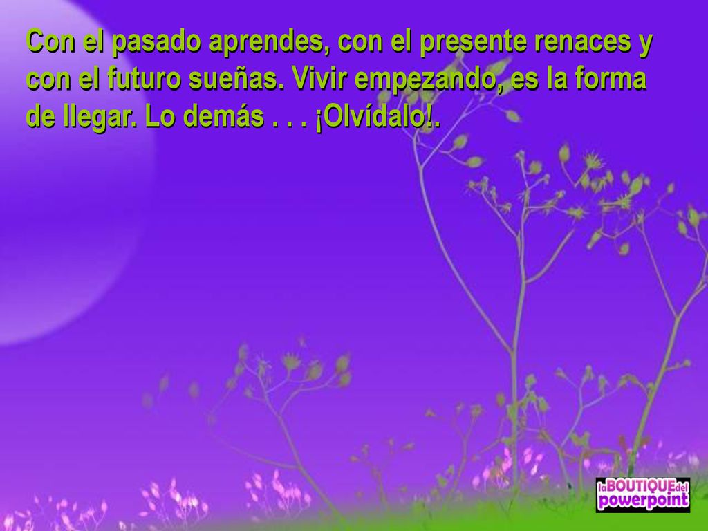 Con el pasado aprendes, con el presente renaces y con el futuro sueñas