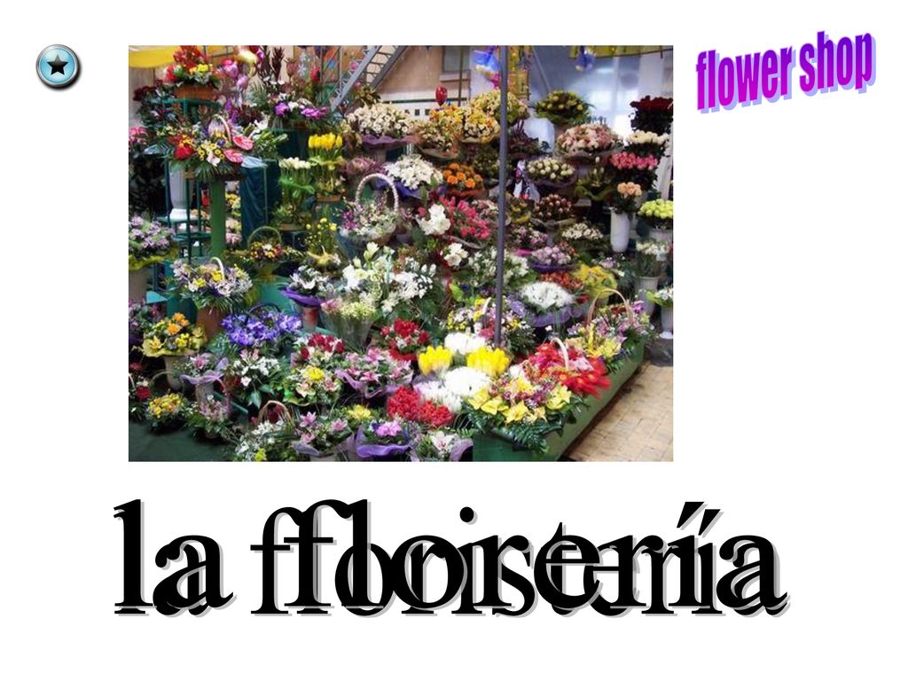 flower shop la florería la floristería