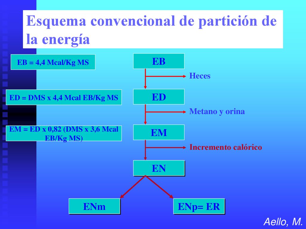 EM = ED x 0,82 (DMS x 3,6 Mcal EB/Kg MS)