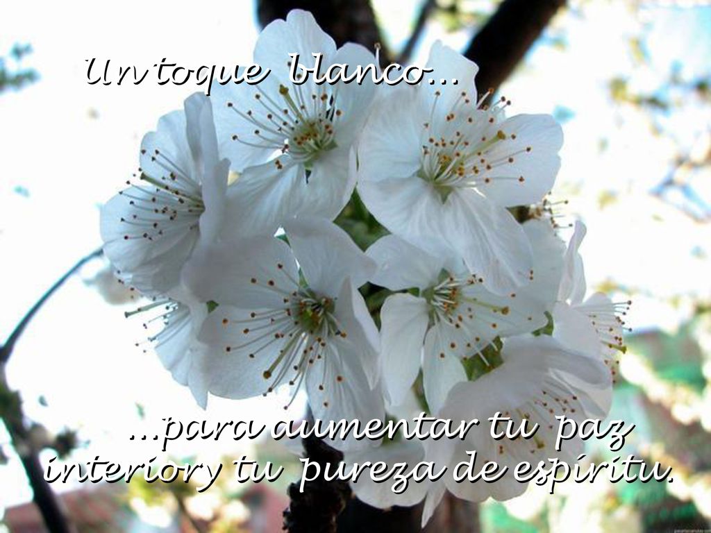...para aumentar tu paz interiory tu pureza de espíritu.