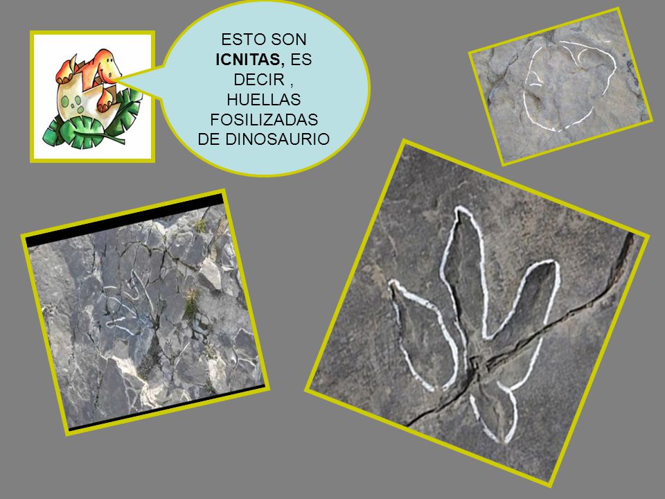 ESTO SON ICNITAS, ES DECIR , HUELLAS FOSILIZADAS DE DINOSAURIO