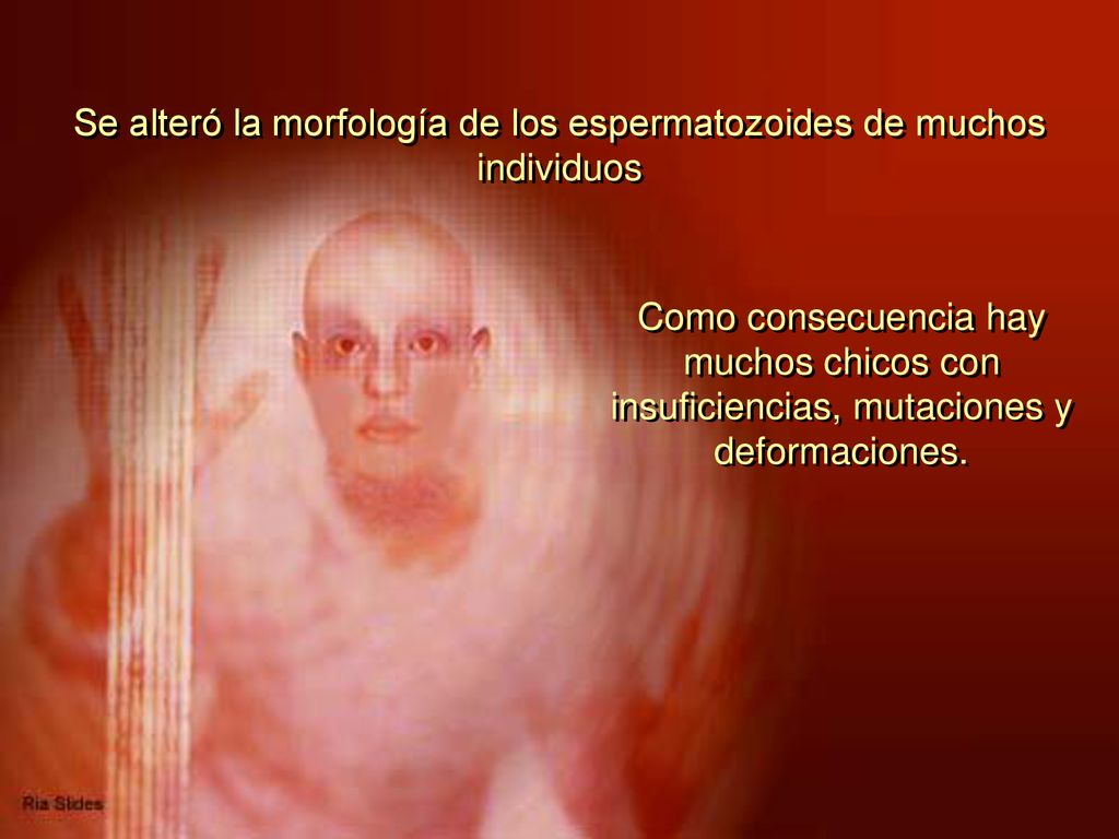 Se alteró la morfología de los espermatozoides de muchos individuos