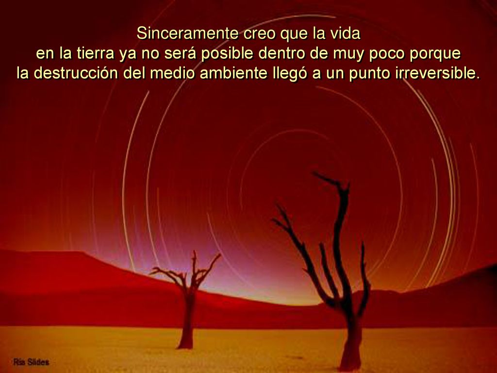 Sinceramente creo que la vida en la tierra ya no será posible dentro de muy poco porque la destrucción del medio ambiente llegó a un punto irreversible.