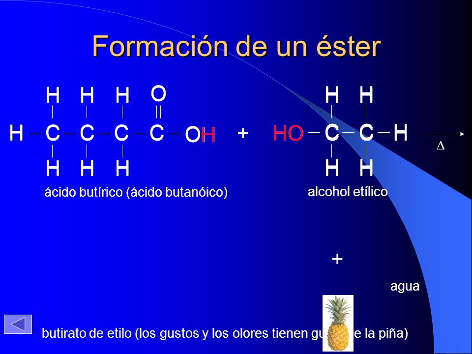 Formación de un éster H O C H H H O H C H H H C C C C OH H + HO HO C C