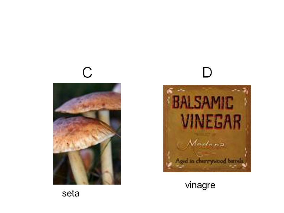vinagre seta