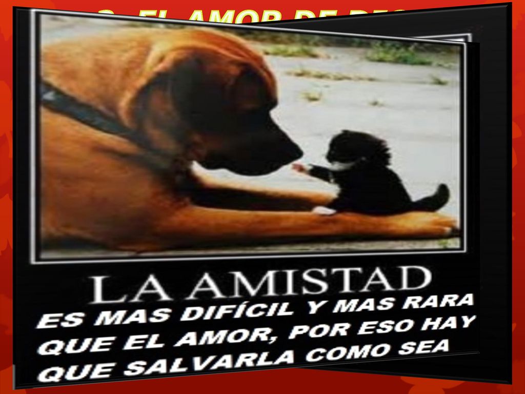 A. Dios es amor, y el que permanece en amor y Dios permanece en él