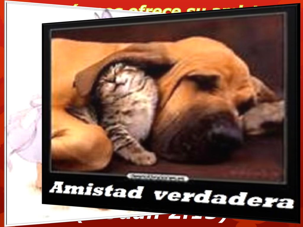 3. Jesús nos ofrece su amistad, pero esa amistad tiene condiciones