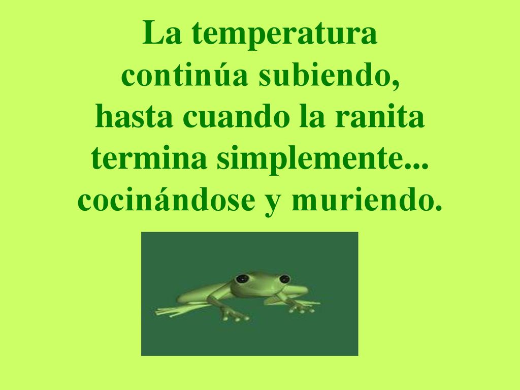 La temperatura continúa subiendo, hasta cuando la ranita termina simplemente...