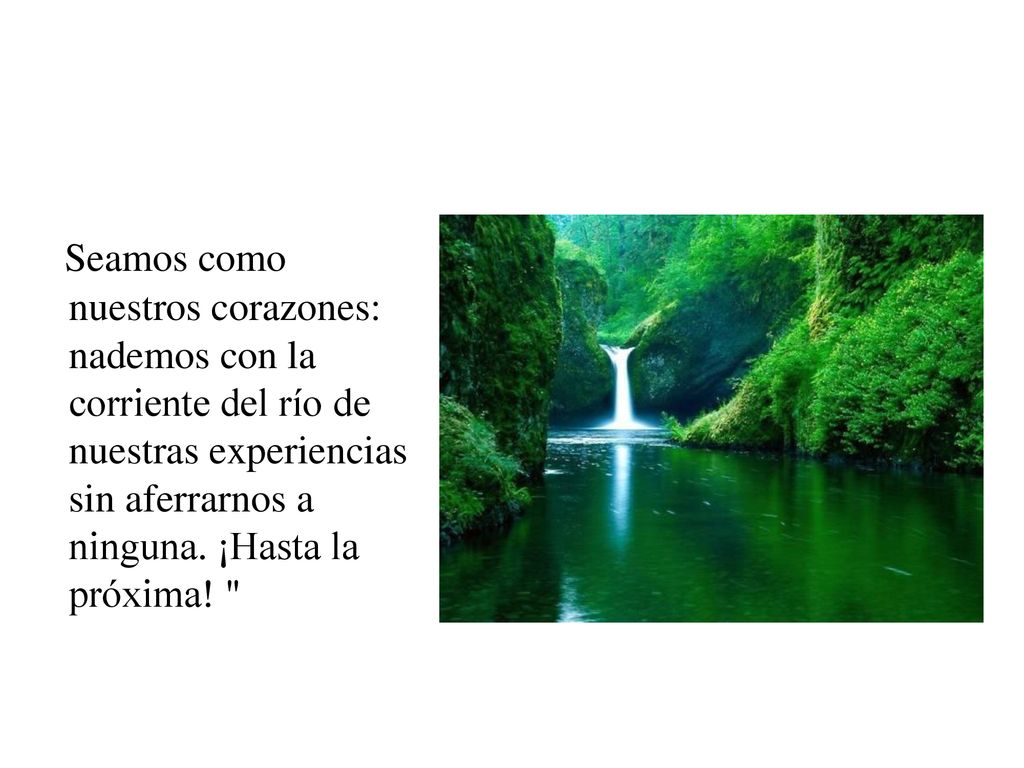 Seamos como nuestros corazones: nademos con la corriente del río de nuestras experiencias sin aferrarnos a ninguna. ¡Hasta la próxima!