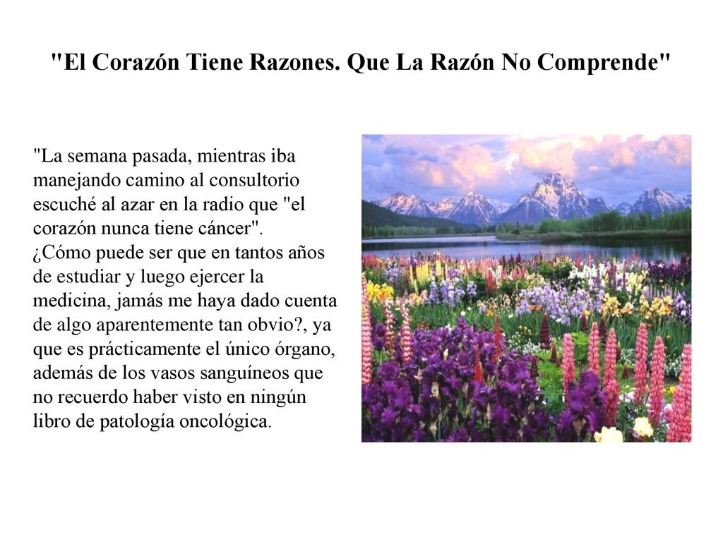 El Corazón Tiene Razones. Que La Razón No Comprende