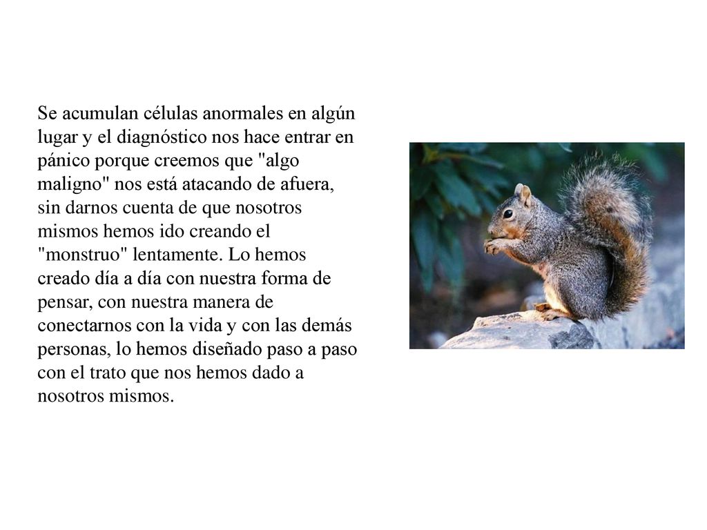 Se acumulan células anormales en algún lugar y el diagnóstico nos hace entrar en pánico porque creemos que algo maligno nos está atacando de afuera, sin darnos cuenta de que nosotros mismos hemos ido creando el monstruo lentamente.