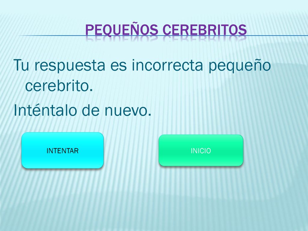 Tu respuesta es incorrecta pequeño cerebrito. Inténtalo de nuevo.