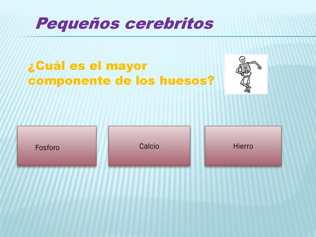 Pequeños cerebritos ¿Cuál es el mayor componente de los huesos Calcio