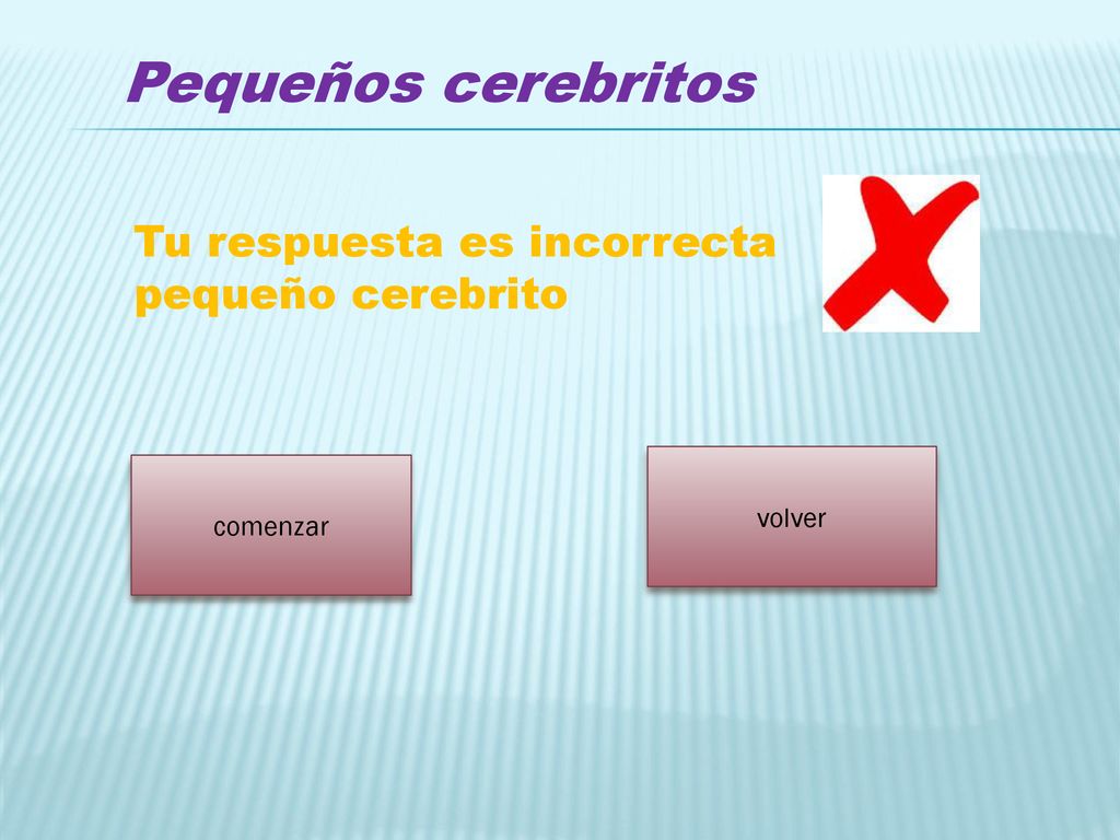 Pequeños cerebritos Tu respuesta es incorrecta pequeño cerebrito