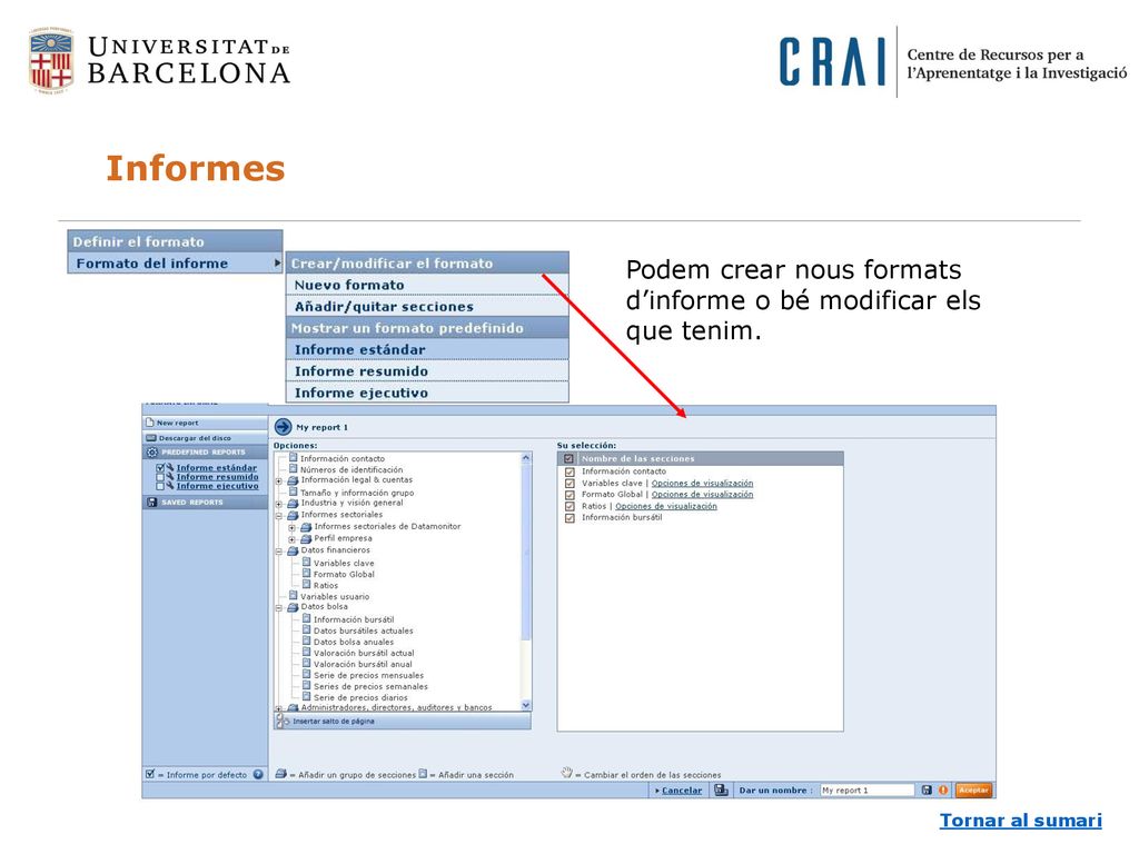 Informes Podem crear nous formats d’informe o bé modificar els