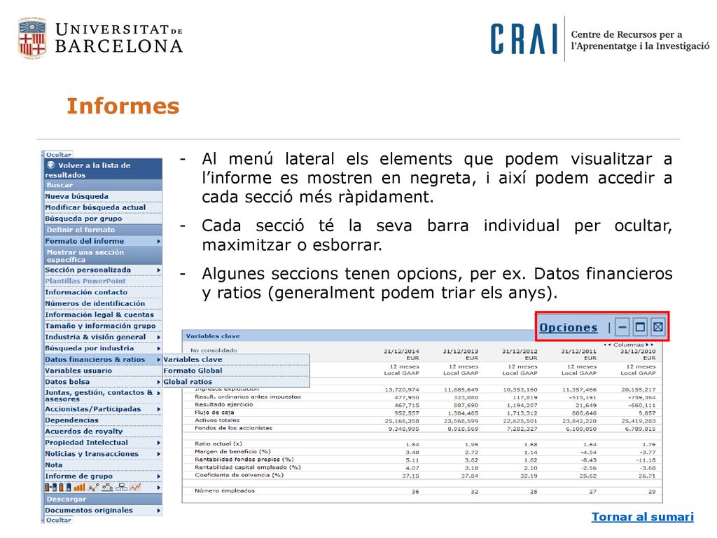 Informes Al menú lateral els elements que podem visualitzar a l’informe es mostren en negreta, i així podem accedir a cada secció més ràpidament.