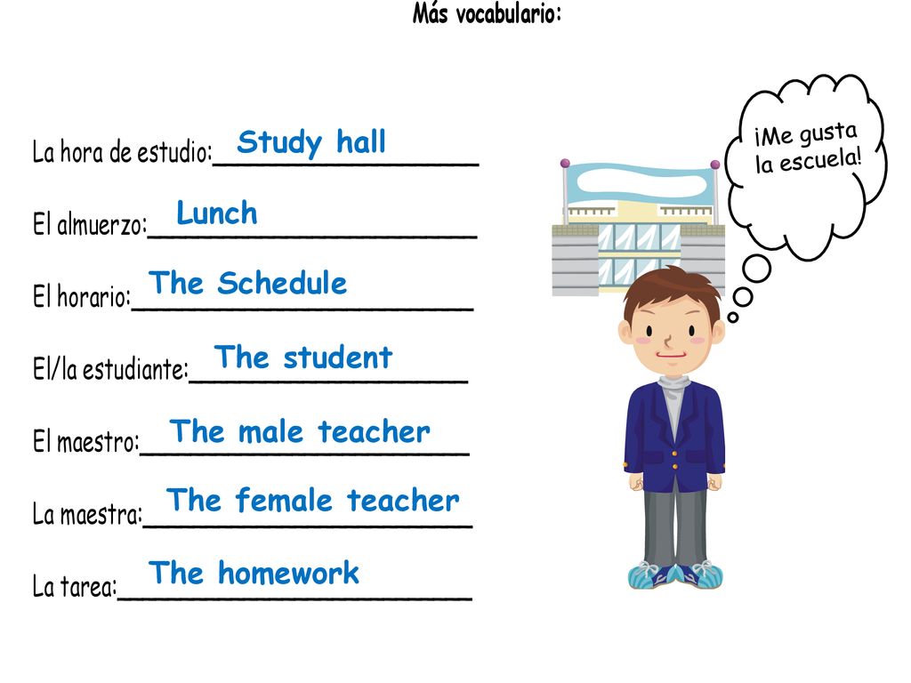 Study hall Lunch The Schedule The student The male teacher
