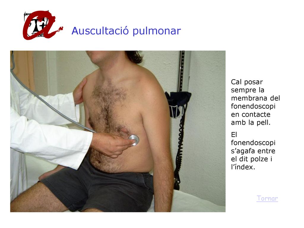 Auscultació pulmonar Cal posar sempre la membrana del fonendoscopi en contacte amb la pell. El fonendoscopi s’agafa entre el dit polze i l’índex.