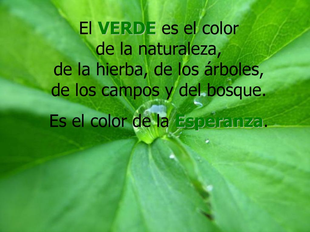 Es el color de la Esperanza.