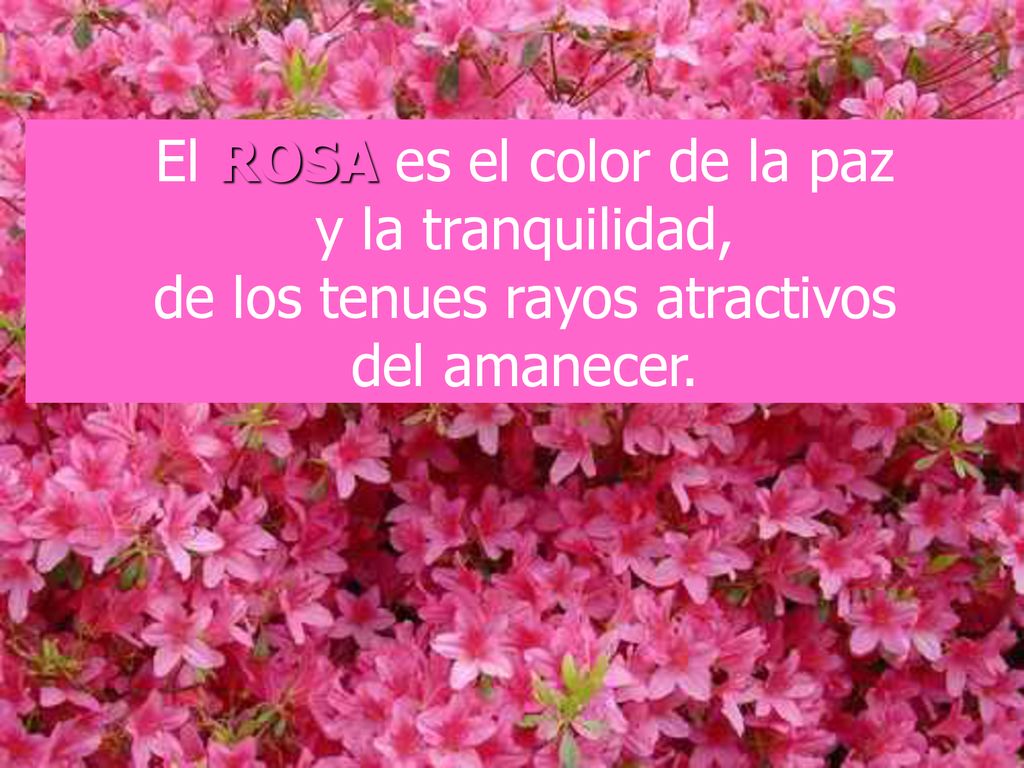 El ROSA es el color de la paz y la tranquilidad, de los tenues rayos atractivos del amanecer.