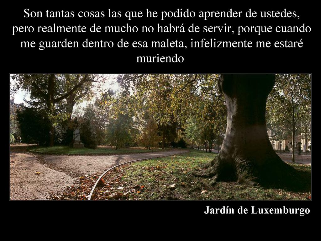 Son tantas cosas las que he podido aprender de ustedes, pero realmente de mucho no habrá de servir, porque cuando me guarden dentro de esa maleta, infelizmente me estaré muriendo.
