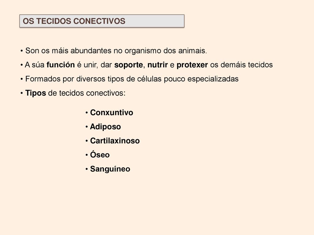 OS TECIDOS CONECTIVOS Son os máis abundantes no organismo dos animais. A súa función é unir, dar soporte, nutrir e protexer os demáis tecidos.