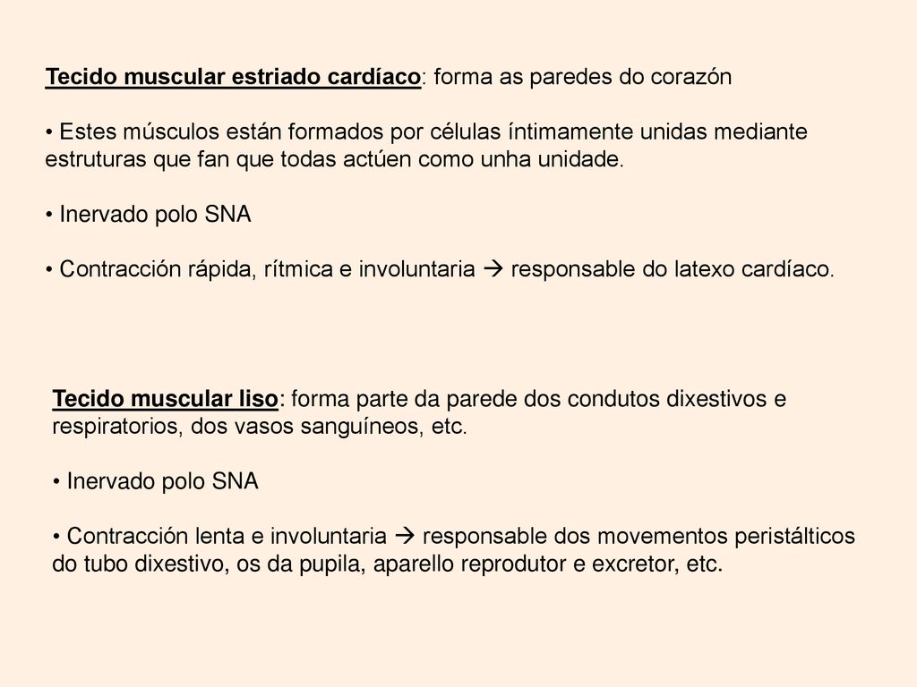 Tecido muscular estriado cardíaco: forma as paredes do corazón
