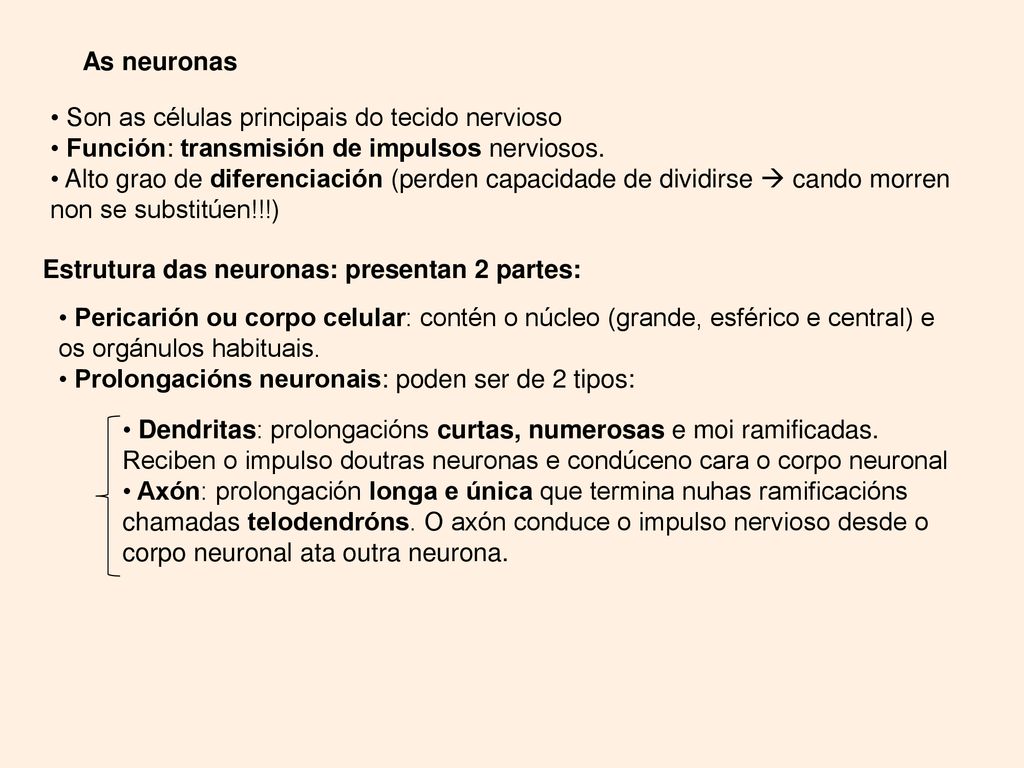As neuronas Son as células principais do tecido nervioso. Función: transmisión de impulsos nerviosos.