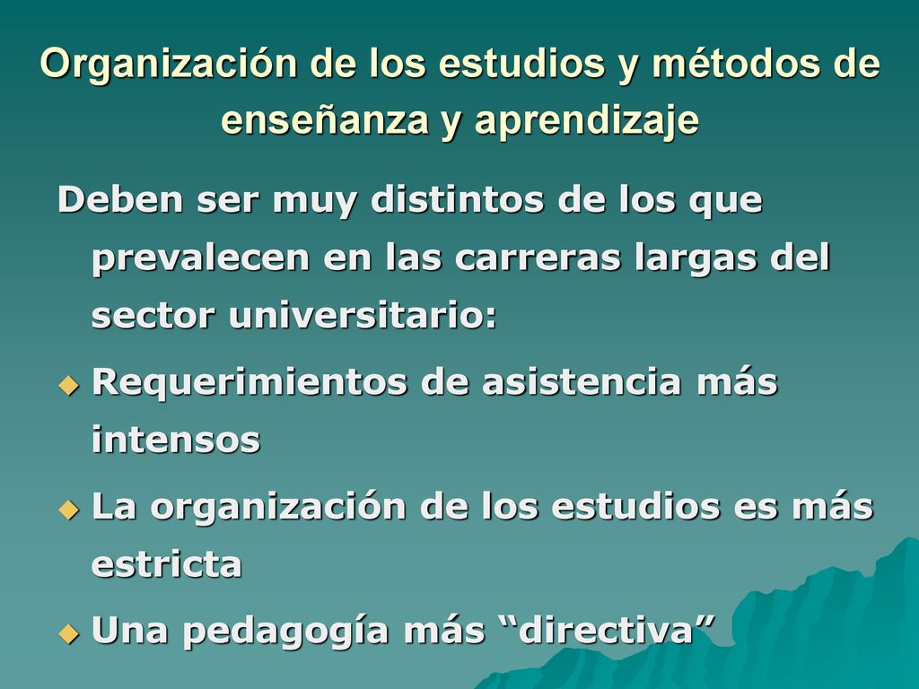 Organización de los estudios y métodos de enseñanza y aprendizaje