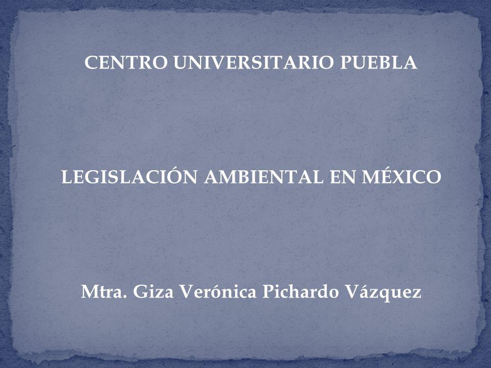 CENTRO UNIVERSITARIO PUEBLA Mtra. Giza Verónica Pichardo Vázquez