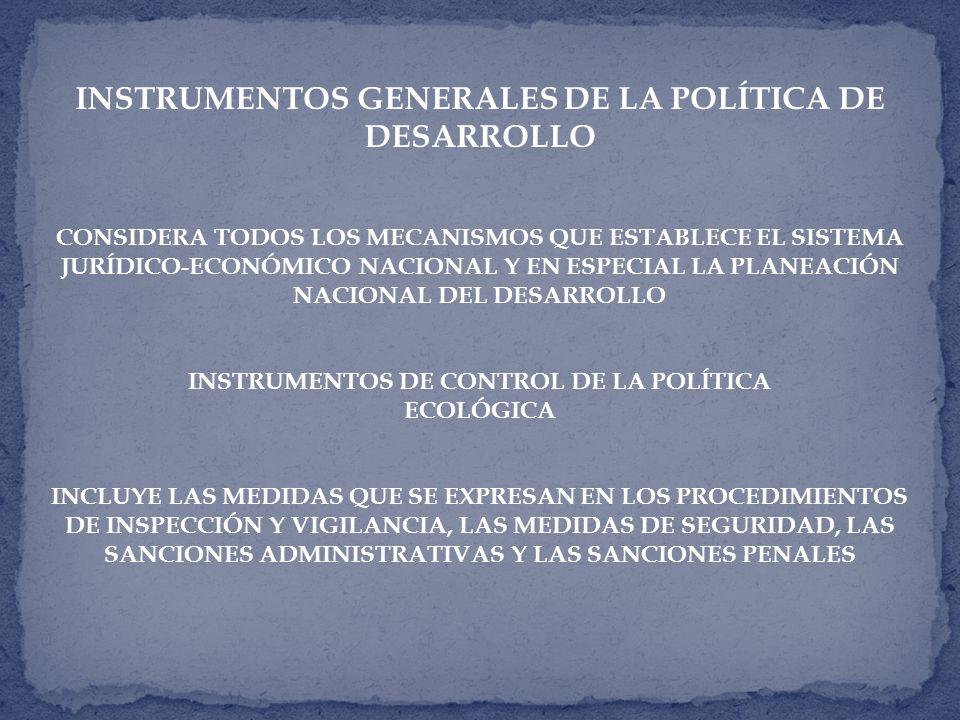 INSTRUMENTOS GENERALES DE LA POLÍTICA DE DESARROLLO