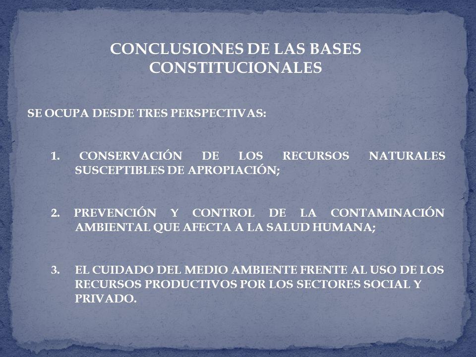 CONCLUSIONES DE LAS BASES CONSTITUCIONALES