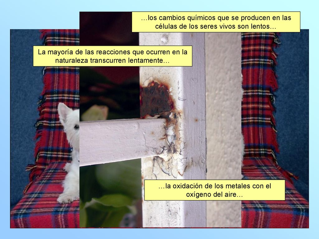 …la oxidación de los metales con el oxígeno del aire…