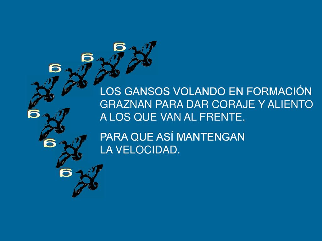g g g g g g LOS GANSOS VOLANDO EN FORMACIÓN
