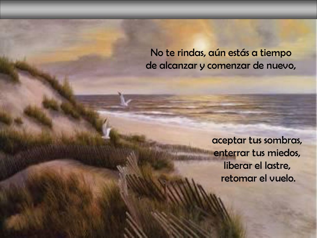 No te rindas, aún estás a tiempo de alcanzar y comenzar de nuevo,