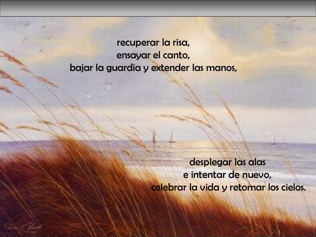 recuperar la risa, ensayar el canto, bajar la guardia y extender las manos,