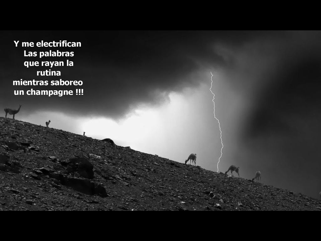 Y me electrifican Las palabras que rayan la rutina mientras saboreo