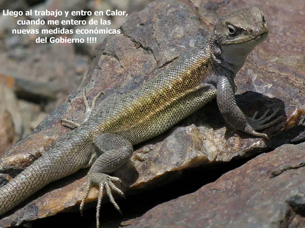 Llego al trabajo y entro en Calor, nuevas medidas económicas