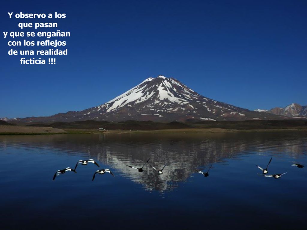 Y observo a los que pasan y que se engañan con los reflejos